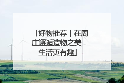 好物推荐｜在周庄邂逅造物之美 生活更有趣