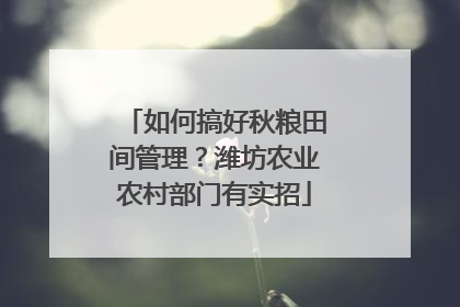 如何搞好秋粮田间管理？潍坊农业农村部门有实招