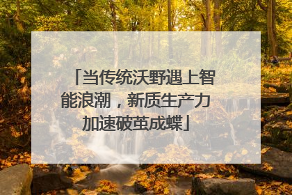 当传统沃野遇上智能浪潮，新质生产力加速破茧成蝶