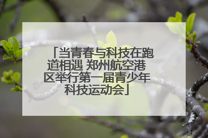 当青春与科技在跑道相遇 郑州航空港区举行第一届青少年科技运动会