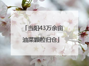 当阳43万余亩油菜颗粒归仓