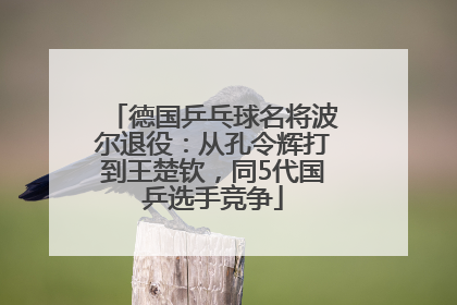 德国乒乓球名将波尔退役：从孔令辉打到王楚钦，同5代国乒选手竞争