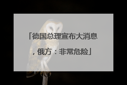 德国总理宣布大消息，俄方：非常危险