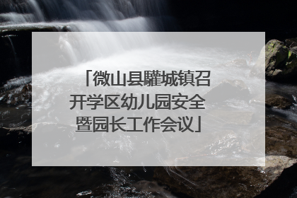 微山县驩城镇召开学区幼儿园安全暨园长工作会议