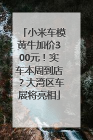 小米车模黄牛加价300元！实车本周到店？大湾区车展将亮相