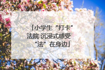 小学生“打卡”法院 沉浸式感受“法”在身边