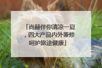 尚赫伴你清凉一夏，四大产品内外兼修呵护旅途健康