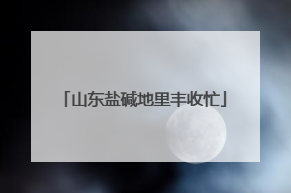 山东盐碱地里丰收忙