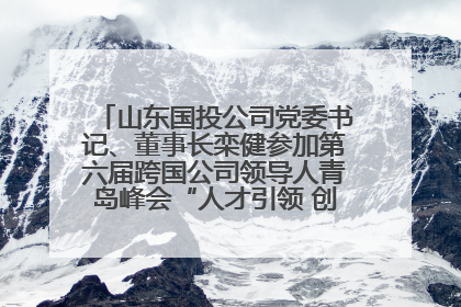 山东国投公司党委书记、董事长栾健参加第六届跨国公司领导人青岛峰会“人才引领 创新驱动”人力资源高质量发展对话会