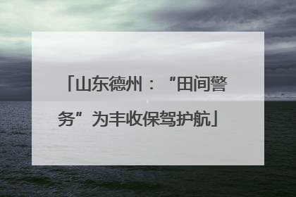 山东德州：“田间警务”为丰收保驾护航