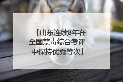 山东连续8年在全国禁毒综合考评中保持优秀等次