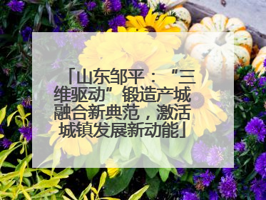 山东邹平：“三维驱动”锻造产城融合新典范，激活城镇发展新动能
