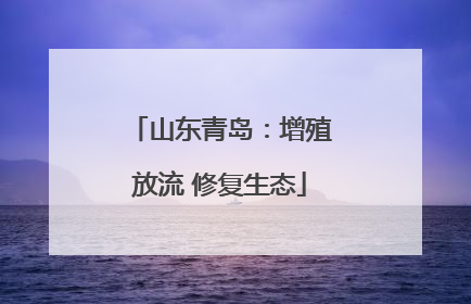 山东青岛：增殖放流 修复生态
