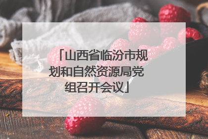 山西省临汾市规划和自然资源局党组召开会议