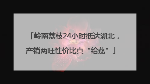 岭南荔枝24小时抵达湖北，产销两旺性价比真“给荔”