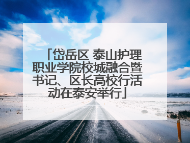 岱岳区 泰山护理职业学院校城融合暨书记、区长高校行活动在泰安举行