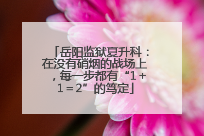 岳阳监狱夏升科：在没有硝烟的战场上，每一步都有“1＋1＝2”的笃定