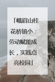 峨眉山桂花桥镇小：劳动赋能成长，实践点亮校园
