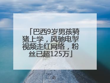 巴西9岁男孩骑猪上学，风驰电掣视频走红网络，粉丝已超125万