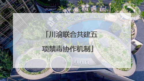 川渝联合共建五项禁毒协作机制