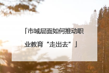 市域层面如何推动职业教育“走出去”