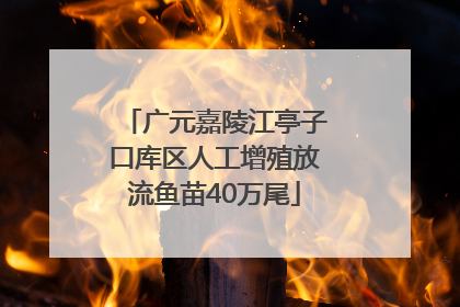 广元嘉陵江亭子口库区人工增殖放流鱼苗40万尾