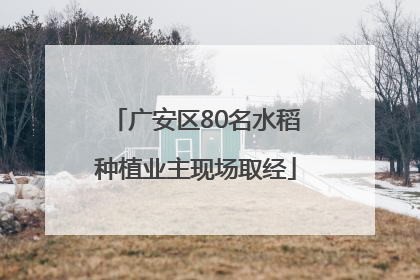 广安区80名水稻种植业主现场取经