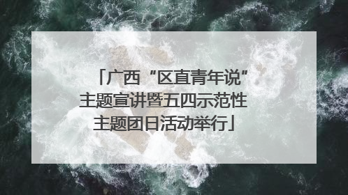 广西“区直青年说”主题宣讲暨五四示范性主题团日活动举行