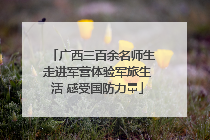 广西三百余名师生走进军营体验军旅生活 感受国防力量