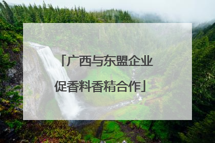 广西与东盟企业促香料香精合作