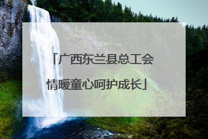 广西东兰县总工会情暖童心呵护成长