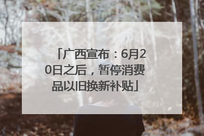 广西宣布：6月20日之后，暂停消费品以旧换新补贴
