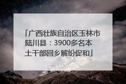 广西壮族自治区玉林市陆川县：3900多名本土干部回乡解纷促和