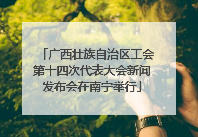 广西壮族自治区工会第十四次代表大会新闻发布会在南宁举行