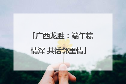 广西龙胜：端午粽情深 共话邻里情