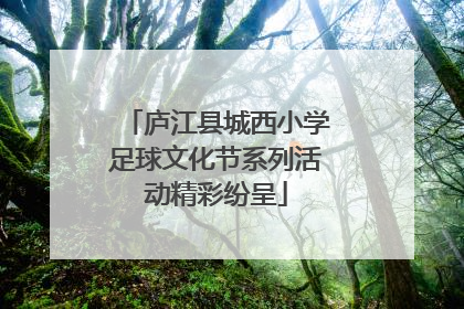 庐江县城西小学足球文化节系列活动精彩纷呈