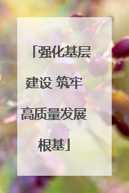 强化基层建设 筑牢高质量发展根基