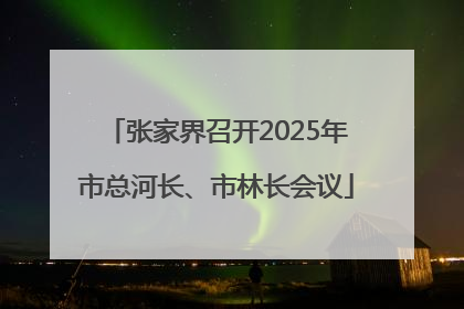 张家界召开2025年市总河长、市林长会议