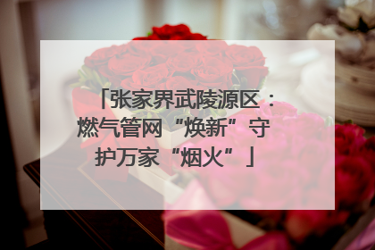 张家界武陵源区：燃气管网“焕新”守护万家“烟火”