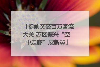 提前突破百万客流大关 苏区振兴“空中走廊”展新翼