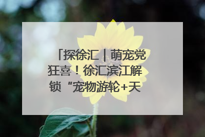 探徐汇｜萌宠党狂喜！徐汇滨江解锁“宠物游轮+天台乐园”双玩法