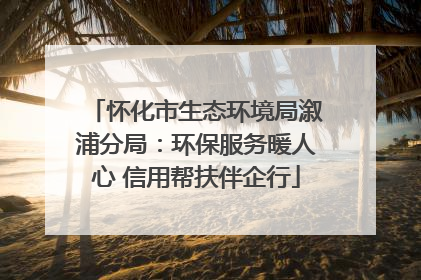 怀化市生态环境局溆浦分局：环保服务暖人心 信用帮扶伴企行