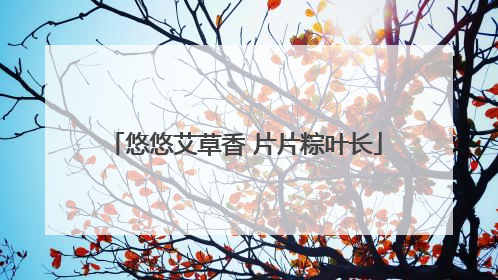 悠悠艾草香 片片粽叶长