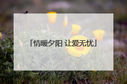 情暖夕阳 让爱无忧