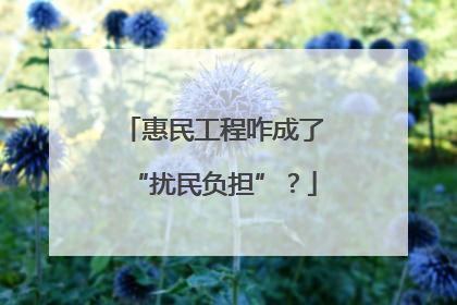 惠民工程咋成了“扰民负担”？