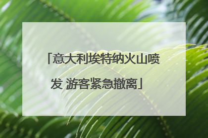 意大利埃特纳火山喷发 游客紧急撤离