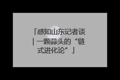 感知山东记者谈｜一颗蒜头的“链式进化论”