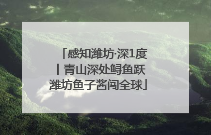 感知潍坊·深1度丨青山深处鲟鱼跃 潍坊鱼子酱闯全球