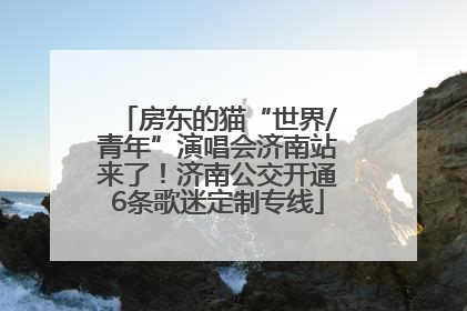 房东的猫“世界/青年”演唱会济南站来了！济南公交开通6条歌迷定制专线