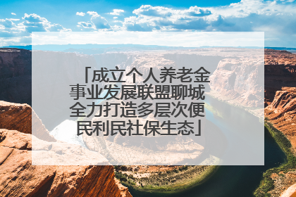 成立个人养老金事业发展联盟聊城全力打造多层次便民利民社保生态